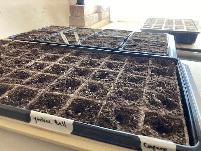 Soil, Seed Sowing, and New Farm Hands - Oh My!